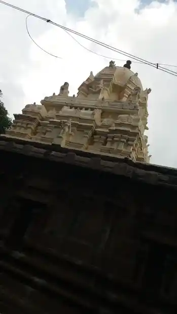 Arulmigu Lakshmi Narasima Swami Temple, Sevilimedu - 631502 அருள்மிகு லட்சுமி நரசிம்ம ஸ்வாமி திருக்கோயில், Sevilimedu - 631502, Kancheepuram - Ancient Temple Architecture and History Image 4