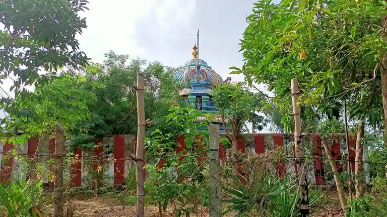 Arulmigu Lakshmi Narasimha Perumal Temple, Thazakudi - 613701