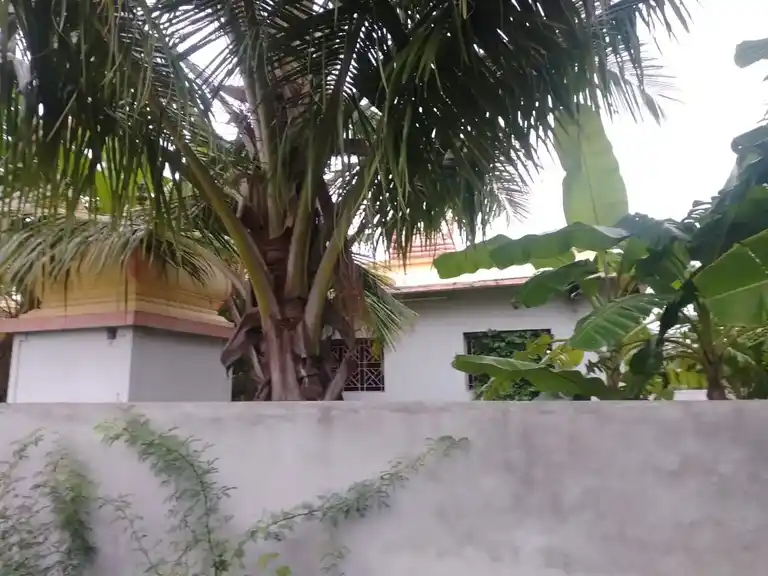 Arulmigu Lakshmi Narayan Perumal Temple, Manavasi - 639108