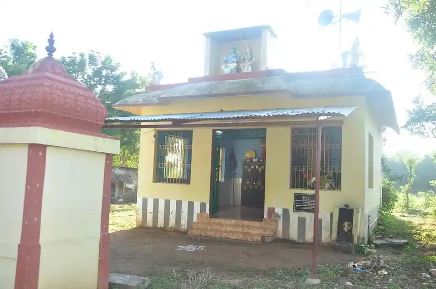 Arulmigu Lakshmi Narayana Perumail Temple, Aalamkurichi - 0
