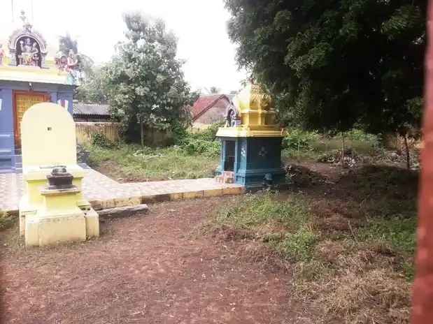 Arulmigu Lakshmi Narayana Perumal Temple, Aanathur - 607101 அருள்மிகு லட்சுமிநாராயணப்பெருமாள் திருக்கோயில், Aanathur - 607101, Viluppuram - Ancient Temple Architecture and History Image 4