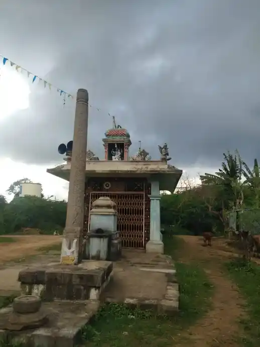 Arulmigu Lakshmi Narayana Perumal Temple, Eachur - 603109 அருள்மிகு லட்சுமி நாராயணப்பெருமாள் திருக்கோயில், எச்சூர் - 603109, Chengalpattu - Ancient Temple Architecture and History Image 2
