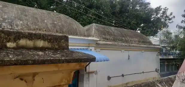 Arulmigu Lakshmi Narayana Perumal Temple, Koneri Rajpuram - 613101 அருள்மிகு லட்சுமி நாராயணபெருமாள் திருக்கோயில், Koneri Rajpuram - 613101, Thanjavur - Ancient Temple Architecture and History Image 2