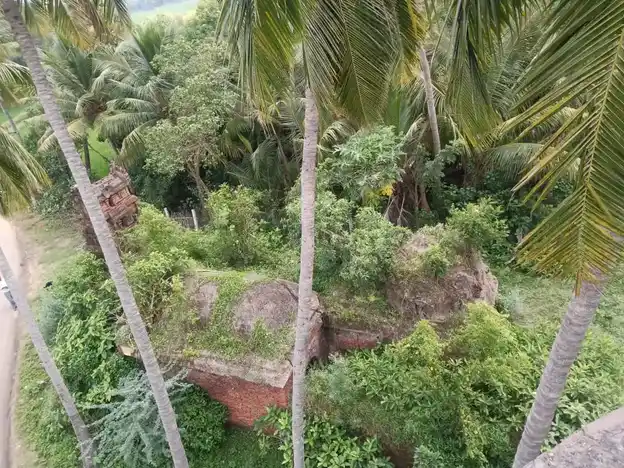 Arulmigu Lakshmi Narayana Perumal Temple, Kuchur - 608303 அருள்மிகு லட்சுமி நரராயணபெருமாள் திருக்கோயில், Kuchur - 608303, Cuddalore - Ancient Temple Architecture and History Image 2