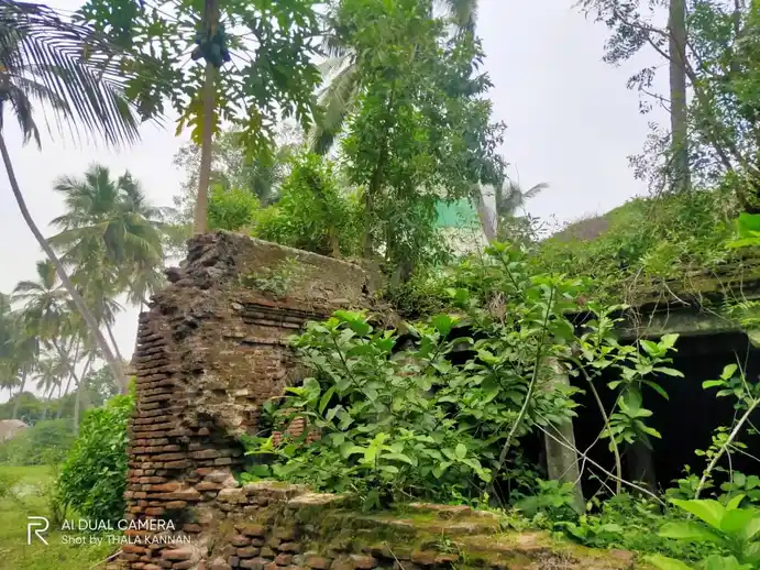 Arulmigu Lakshmi Narayana Perumal Temple, Kuchur - 608303 அருள்மிகு லட்சுமி நரராயணபெருமாள் திருக்கோயில், Kuchur - 608303, Cuddalore - Ancient Temple Architecture and History Image 5