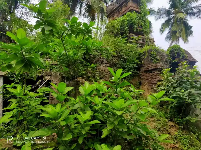 Arulmigu Lakshmi Narayana Perumal Temple, Kuchur - 608303 அருள்மிகு லட்சுமி நரராயணபெருமாள் திருக்கோயில், Kuchur - 608303, Cuddalore - Ancient Temple Architecture and History Image 7