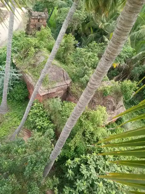 Arulmigu Lakshmi Narayana Perumal Temple, Kuchur - 608303 அருள்மிகு லட்சுமி நரராயணபெருமாள் திருக்கோயில், Kuchur - 608303, Cuddalore - Ancient Temple Architecture and History Image 8