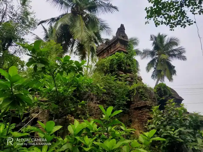 Arulmigu Lakshmi Narayana Perumal Temple, Kuchur - 608303 அருள்மிகு லட்சுமி நரராயணபெருமாள் திருக்கோயில், Kuchur - 608303, Cuddalore - Ancient Temple Architecture and History Image 9
