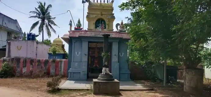 Arulmigu Lakshmi Narayana Perumal Temple, P.Villiyanur - 605105 அருள்மிகு லட்சுமிநாராயணப்பெருமாள் திருக்கோயில், ப. வில்லியனுர் - 605105, Viluppuram - Ancient Temple Architecture and History Image 6