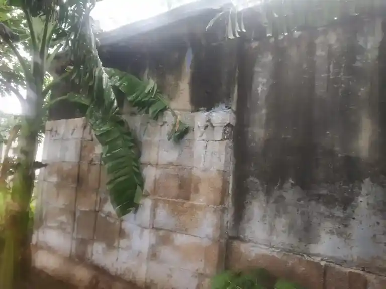 Arulmigu Lakshmi Narayana Perumal Temple, Sowdarpatti - 625704 லெட்சுமி நாராயணப் பெருமாள் திருக்கோயில், Sowdarpatti - 625704, Madurai - Ancient Temple Architecture and History Image 3