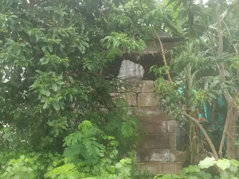 Arulmigu Lakshmi Narayana Perumal Temple, Sowdarpatti - 625704 லெட்சுமி நாராயணப் பெருமாள் திருக்கோயில், Sowdarpatti - 625704, Madurai - Ancient Temple Architecture and History Image 5