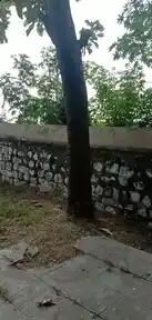 Arulmigu Lakshmi Narayanaperumal Temple, Earaiyur - 606704 அருள்மிகு லட்சுமிநாராயணபெருமாள் திருக்கோயில், Earaiyur - 606704, Tiruvannamalai - Ancient Temple Architecture and History Image 3