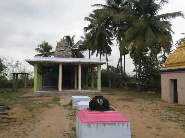 Arulmigu Lakshmi Narayanaperumal Temple, Pudupalayam, Puduppalaiyam - 636306 அருள்மிகு லட்சுமி நாராயணப்பெருமாள் திருக்கோயில், Pudupalayam, Puduppalaiyam - 636306, Salem - Ancient Temple Architecture and History Image 4