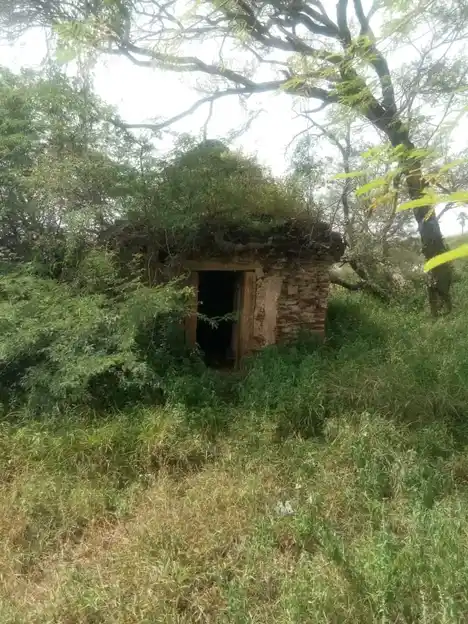 Arulmigu Lakshmi Narayanapperumal Temple, Nadanthai - 639111 அருள்மிகு லெட்சுமி நாராயண பெருமாள் திருக்கோயில், Nadanthai - 639111, Karur - Ancient Temple Architecture and History Image 7