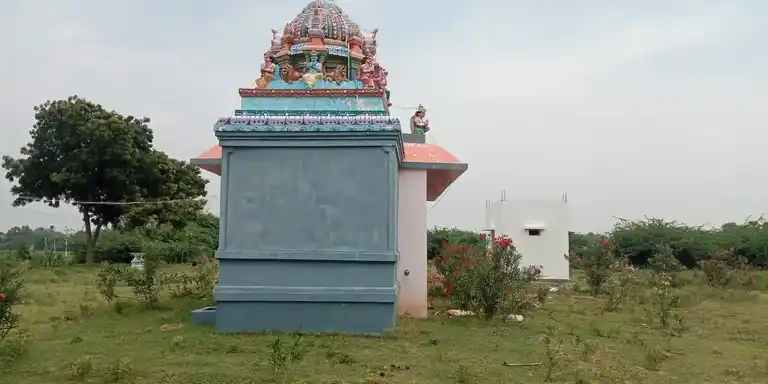 Arulmigu Lakshmi Narayanapperumal Temple, Panavayal - 614620