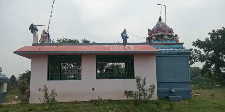 Arulmigu Lakshmi Narayanapperumal Temple, Panavayal - 614620 அருள்மிகு லெட்சுமிநாராயணப் பெருமாள் திருக்கோயில், Panavayal - 614620, Pudukkottai - Ancient Temple Architecture and History Image 4