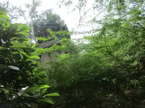 Arulmigu Lakshmi Narayanperumal Temple, Athichamangalam - 612804 அருள்மிகு லெட்சுநாராயணப்பெருமாள் திருக்கோயில், Athichamangalam - 612804, Thiruvarur - Ancient Temple Architecture and History Image 6