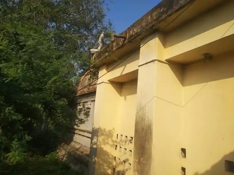 Arulmigu Lakshmi Naryanaperumal Temple, Sattanathapuram - 609109 அருள்மிகு லெட்சுமி நாராயணப்பெருமாள் திருக்கோயில், Sirkazhi - 609109, Mayiladuthurai - Ancient Temple Architecture and History Image 3