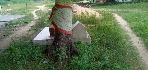 Arulmigu Lakshmiamman Temple, Near Ration Shop, Sunambukulam - 601201 அருள்மிகு லட்சுமி அம்மன் திருக்கோயில், Near Ration Shop, சுண்ணாம்புகுளம் - 601201, Tiruvallur - Ancient Temple Architecture and History Image 2