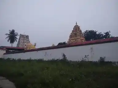 Arulmigu Lakshminarayana Perumal Temple, Vandavasi, S Navalpakkam - 604408 அருள்மிகு இலட்சுமிநாராயணப்பெருமாள் திருக்கோயில், வந்தவாசி, S நாவல்பக்கம் - 604408, Tiruvannamalai - Ancient Temple Architecture and History Image 3