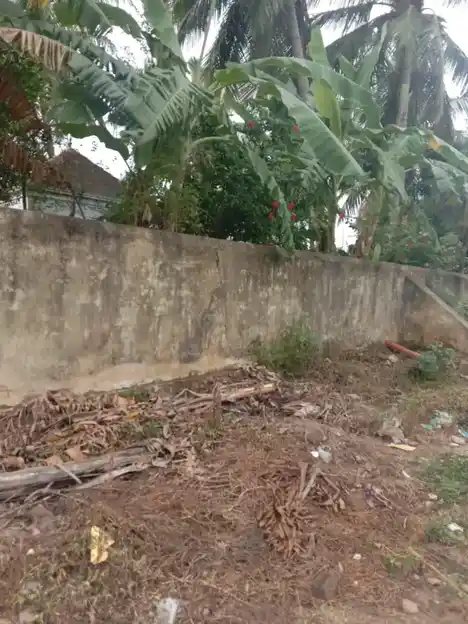 Arulmigu Lakshminarayanana Perumal Temple, Vellour, - 606803