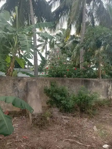 Arulmigu Lakshminarayanana Perumal Temple, Vellour, - 606803 அருள்மிகு லட்சுமிநாராயணபெருமாள் திருக்கோயில், Vellour, - 606803, Tiruvannamalai - Ancient Temple Architecture and History Image 3