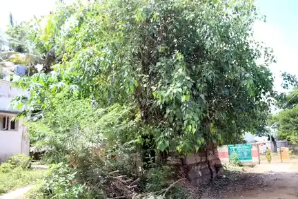 Arulmigu Lakshminarayanaperumal Temple, Keeranur - 612602