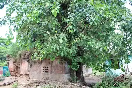 Arulmigu Lakshminarayanaperumal Temple, Keeranur - 612602 அருள்மிகு லெட்சுமிநாராயண பெருமாள் திருக்கோயில், Keeranur - 612602, Thanjavur - Ancient Temple Architecture and History Image 4