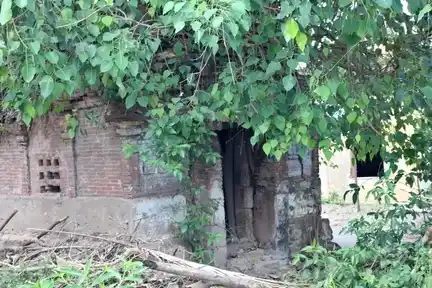 Arulmigu Lakshminarayanaperumal Temple, Keeranur - 612602 அருள்மிகு லெட்சுமிநாராயண பெருமாள் திருக்கோயில், Keeranur - 612602, Thanjavur - Ancient Temple Architecture and History Image 5