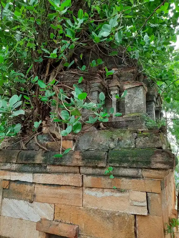 Arulmigu Lakshminarayanaperumal Temple, Ko.Poovanur - 606104 அருள்மிகு. லட்சுமி நாராயணப்பெருமாள் திருக்கோயில், Ko.Poovanur - 606104, Cuddalore - Ancient Temple Architecture and History Image 5