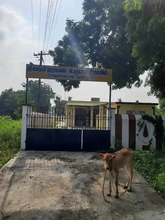 Arulmigu Lakshminarayanaperumal Temple, Near School, Pondavakkam - 602026 அருள்மிகு லட்சுமிநாராயணப்பெருமாள் திருக்கோயில், Near School, Pondavakkam - 602026, Tiruvallur - Ancient Temple Architecture and History Image 3