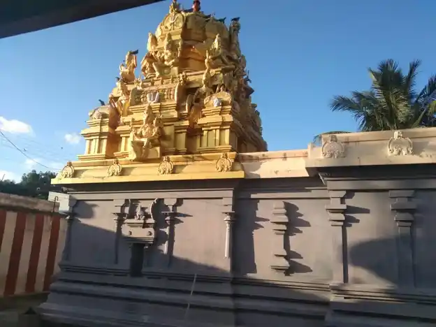Arulmigu Lakshminarayanaperumal Temple, Pallur - 607102 அருள்மிகு லட்சுமி நாராயணபெருமாள் திருக்கோயில், Pallur - 607102, Cuddalore - Ancient Temple Architecture and History Image 2