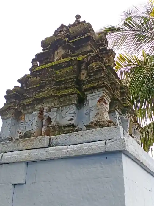 Arulmigu Lakshminarayanasami Temple, Kovilpalayam, Coimbatore - 642110 அருள்மிகு இலட்சுமி நாராயணசுவாமி திருக்கோயில், Kovilpalayam, கோவை - 642110, Coimbatore - Ancient Temple Architecture and History Image 3