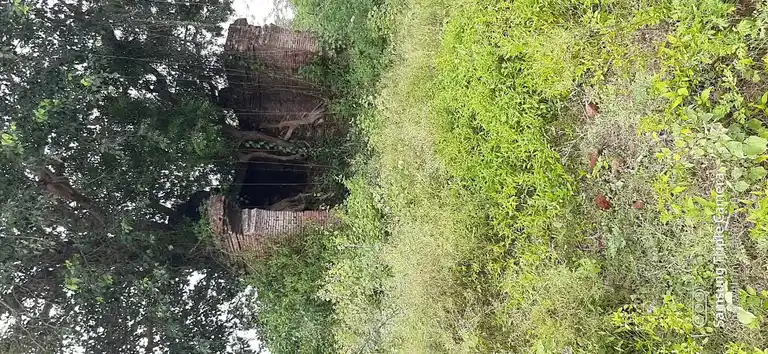 Arulmigu Lakshminarayanasamy Temple, Rajasooriyanpettai - 609202 அருள்மிகு லஷ்மி நாராயண பெருமாள் திருக்கோயில், Rajasooriyanpettai - 609202, Mayiladuthurai - Ancient Temple Architecture and History Image 2