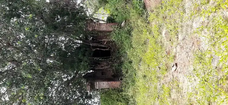 Arulmigu Lakshminarayanasamy Temple, Rajasooriyanpettai - 609202 அருள்மிகு லஷ்மி நாராயண பெருமாள் திருக்கோயில், Rajasooriyanpettai - 609202, Mayiladuthurai - Ancient Temple Architecture and History Image 4