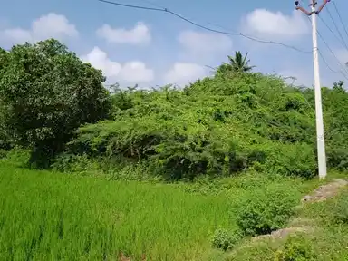 Arulmigu Laksminarayanapperumal Temple, Karuppukilar - 614708 அருள்மிகு லெட்சுமிநாராயணபெருமாள் திருக்கோயில், Karuppukilar - 614708, Thiruvarur - Ancient Temple Architecture and History Image 5