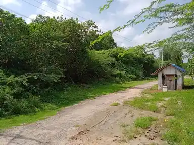 Arulmigu Laksminarayanapperumal Temple, Karuppukilar - 614708 அருள்மிகு லெட்சுமிநாராயணபெருமாள் திருக்கோயில், Karuppukilar - 614708, Thiruvarur - Ancient Temple Architecture and History Image 6