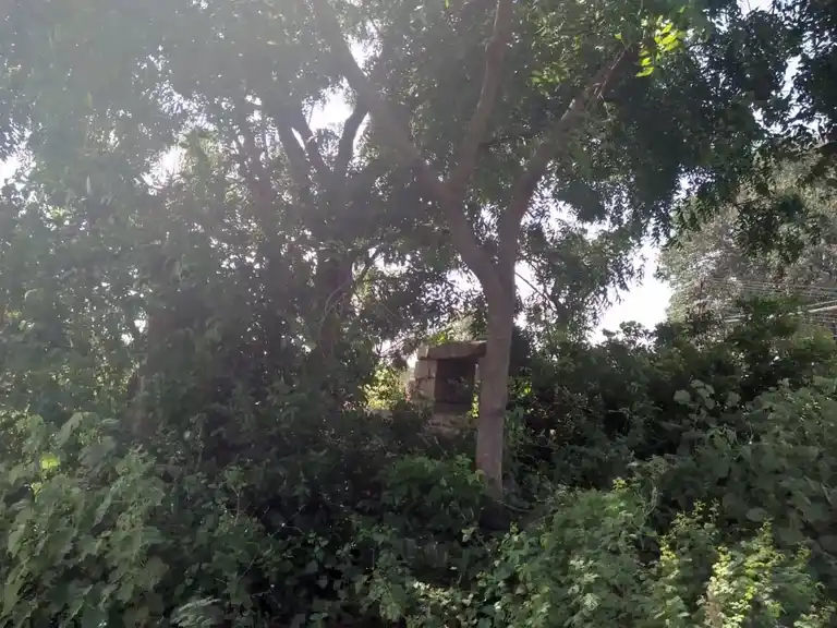 Arulmigu Lax Mamana Perumal Temple, Kiliayapattu - 621718