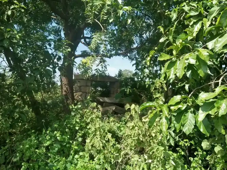 Arulmigu Lax Mamana Perumal Temple, Kiliayapattu - 621718 அருள்மிகு லெட்சுமி மணப்பெருமாள் திருக்கோயில், Kiliayapattu - 621718, Perambalur - Ancient Temple Architecture and History Image 2