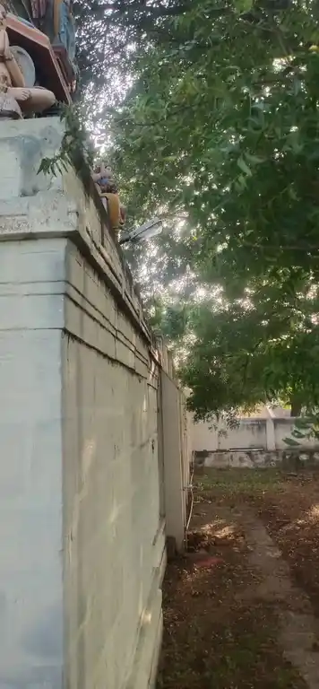 Arulmigu Laxmi Narayanaperumal Temple, Nagaiyanallur - 621207 Arulmigu Laxmi NarayanaPerumal Temple, நாகையநல்லூர் - 621207, Thiruchirappalli - Ancient Temple Architecture and History Image 6