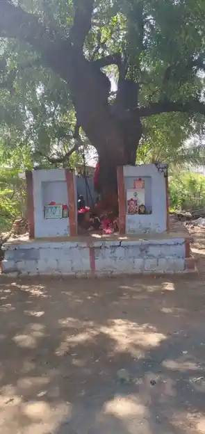 Arulmigu Lingamman Temple, Kurichikottai - 642112 அருள்மிகு லிங்கம்மன் திருக்கோயில், Kurichikottai - 642112, Tiruppur - Ancient Temple Architecture and History Image 2