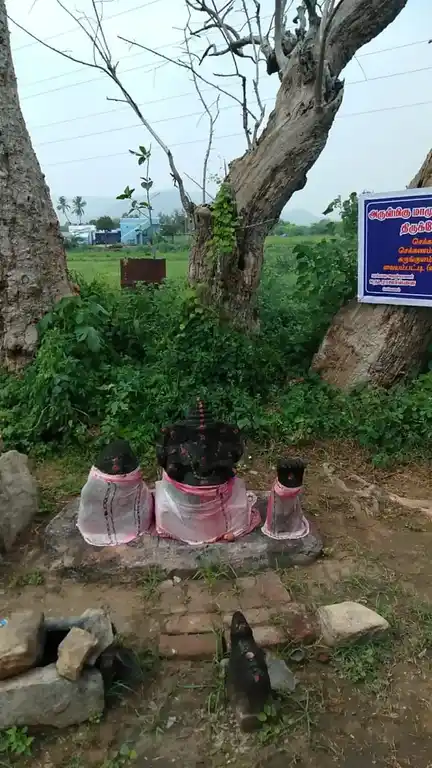Arulmigu Maamundi Vinayagar Temple, Seakkanam - 621307 அருள்மிகு மாபூண்டி விநாயகர் திருக்கோயில், செக்கனம், செக்கனம் - 621307, Thiruchirappalli - Ancient Temple Architecture and History Image 2