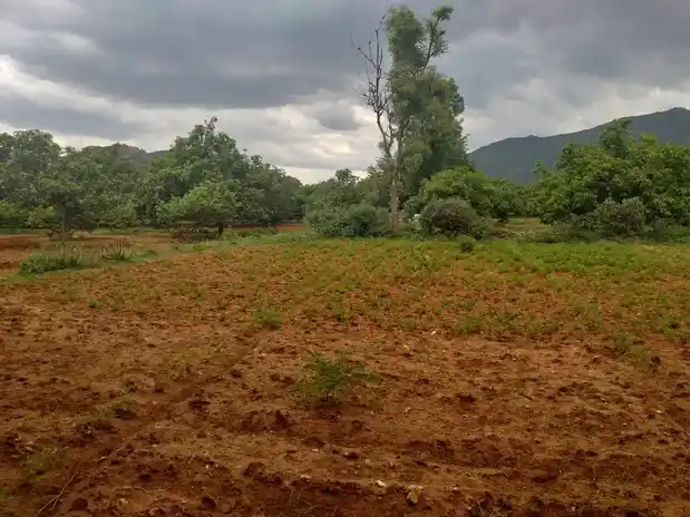 Arulmigu Maanikka Vinayagar Temple, Kombaipatti - 624304 Arulmigu Maanikka Vinayagar Temple, Kombaipatti - 624304, Dindigul - Ancient Temple Architecture and History Image 4