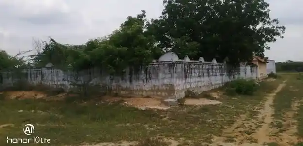 Arulmigu Maankudi Ayyanar Temple, Kalingapatti - 621316 அருள்மிகு மாங்குடி அய்யனார் திருக்கோயில், Kalingapatti - 621316, Pudukkottai - Ancient Temple Architecture and History Image 2