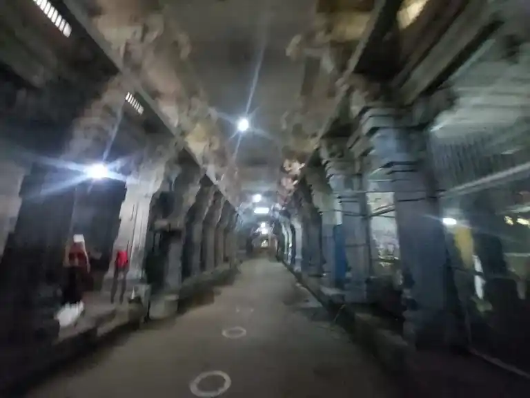 Arulmigu Maayurnathaswamytemple, Mayiladuthurai - 609001 அருள்மிகு மயூரநாதர் சுவாமி திருக்கோயில், Mayiladuthurai - 609001, Mayiladuthurai - Ancient Temple Architecture and History Image 9