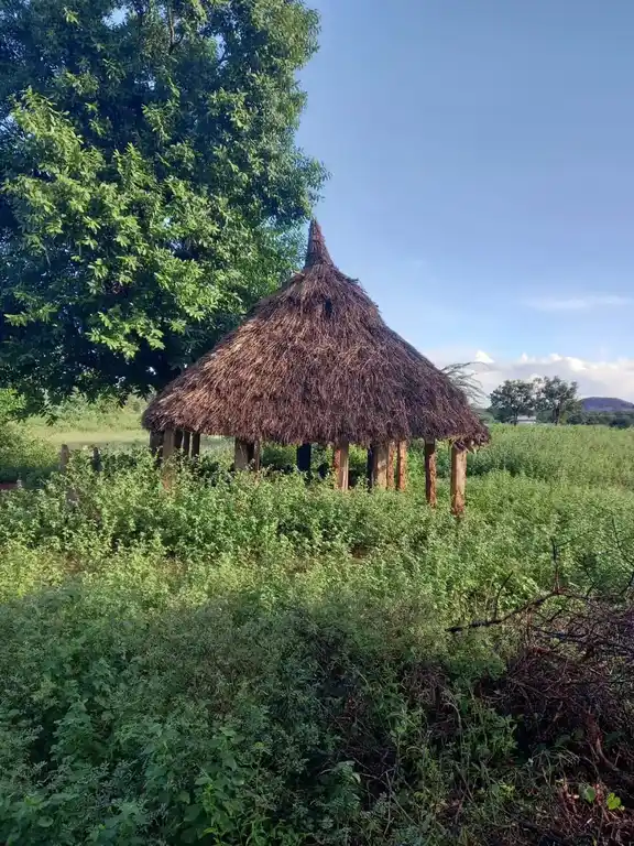 Arulmigu Maazhai Temple, Thoppambatti - 621306 Arulmigu Maazhai Temple, Thoppambatti - 621306, Thiruchirappalli - Ancient Temple Architecture and History Image 2