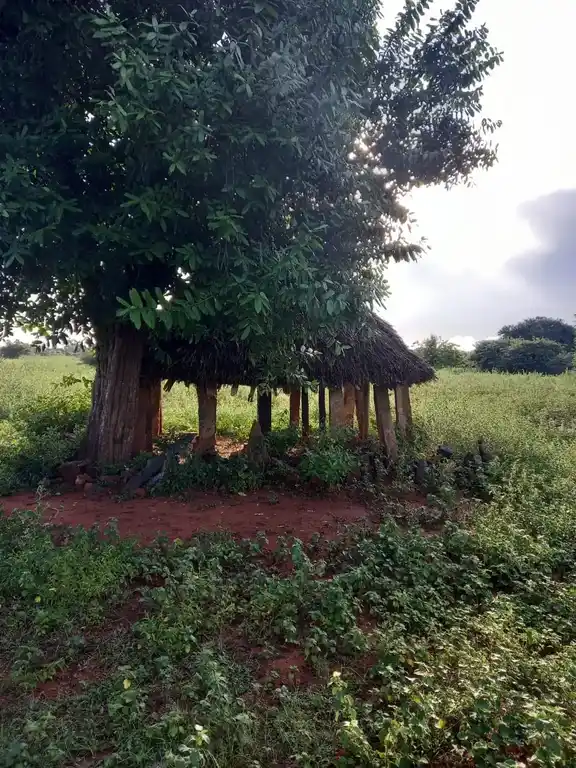 Arulmigu Maazhai Temple, Thoppambatti - 621306 Arulmigu Maazhai Temple, Thoppambatti - 621306, Thiruchirappalli - Ancient Temple Architecture and History Image 3