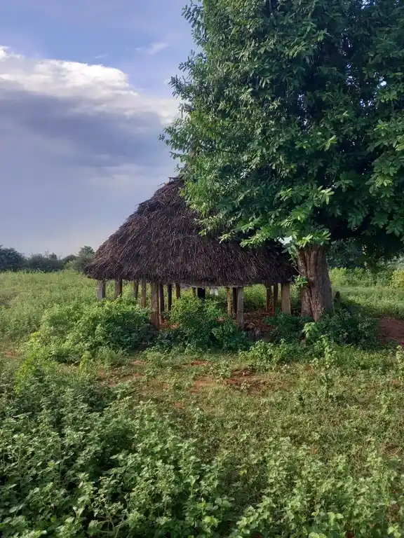 Arulmigu Maazhai Temple, Thoppambatti - 621306 Arulmigu Maazhai Temple, Thoppambatti - 621306, Thiruchirappalli - Ancient Temple Architecture and History Image 4