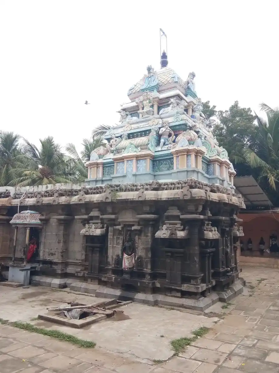 Arulmigu Machapurishwarar Temple, Pandaravadai - 614204 அருள்மிகு மச்சபுரீஸ்வரர் திருக்கோயில், Pandaravadai - 614204, Thanjavur - Ancient Temple Architecture and History Image 4