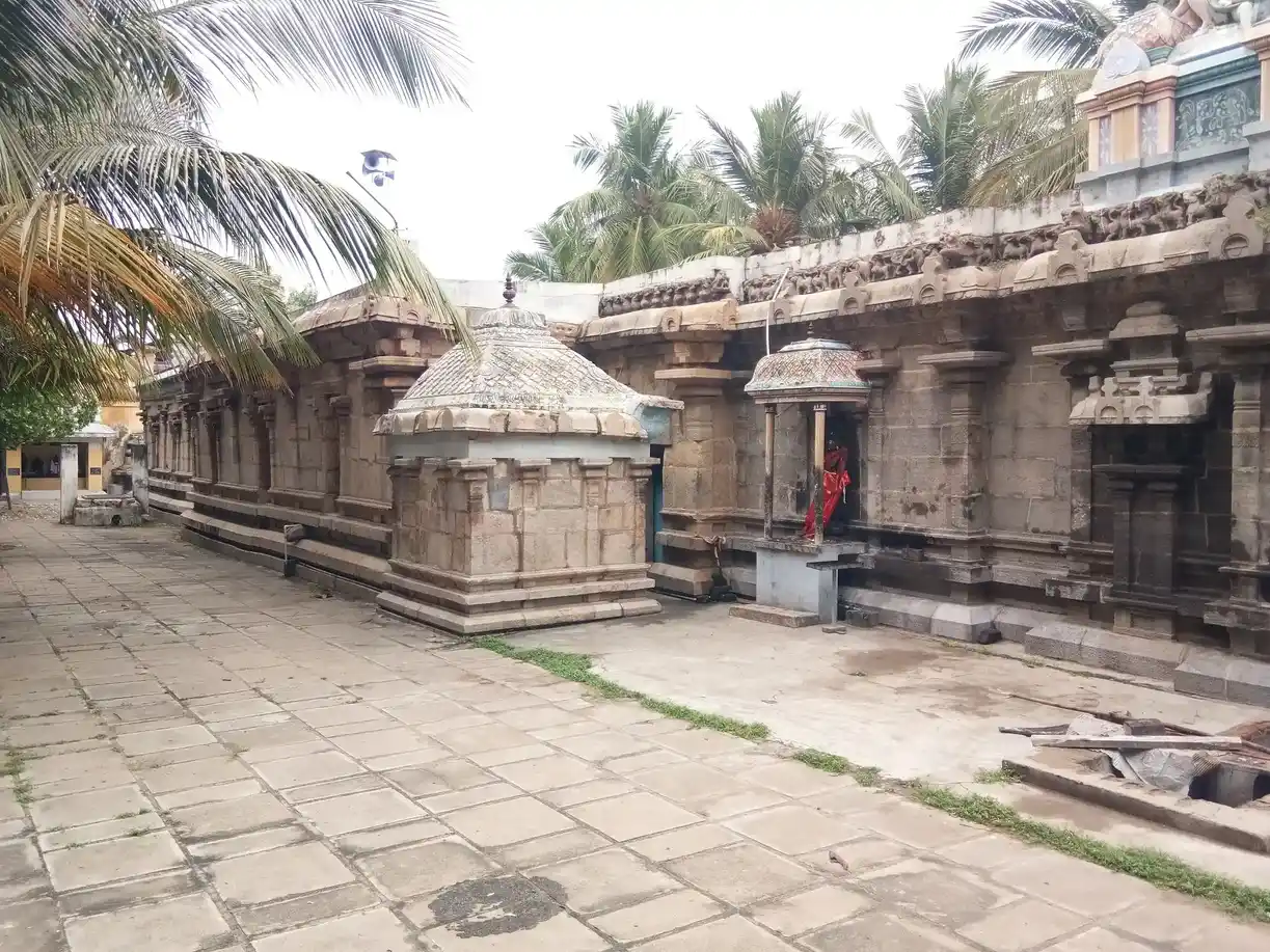 Arulmigu Machapurishwarar Temple, Pandaravadai - 614204 அருள்மிகு மச்சபுரீஸ்வரர் திருக்கோயில், Pandaravadai - 614204, Thanjavur - Ancient Temple Architecture and History Image 5